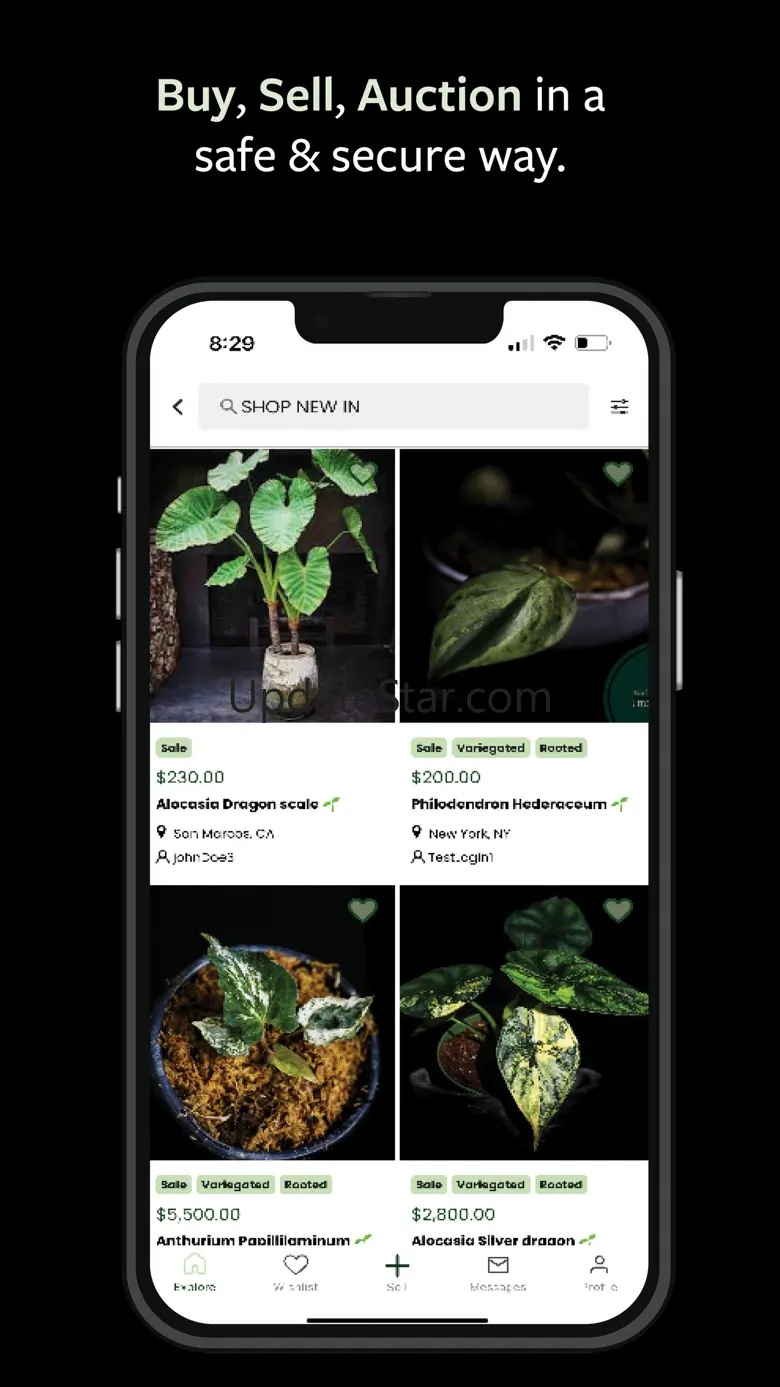 MonsteraX - World Plant Market 1.8.17