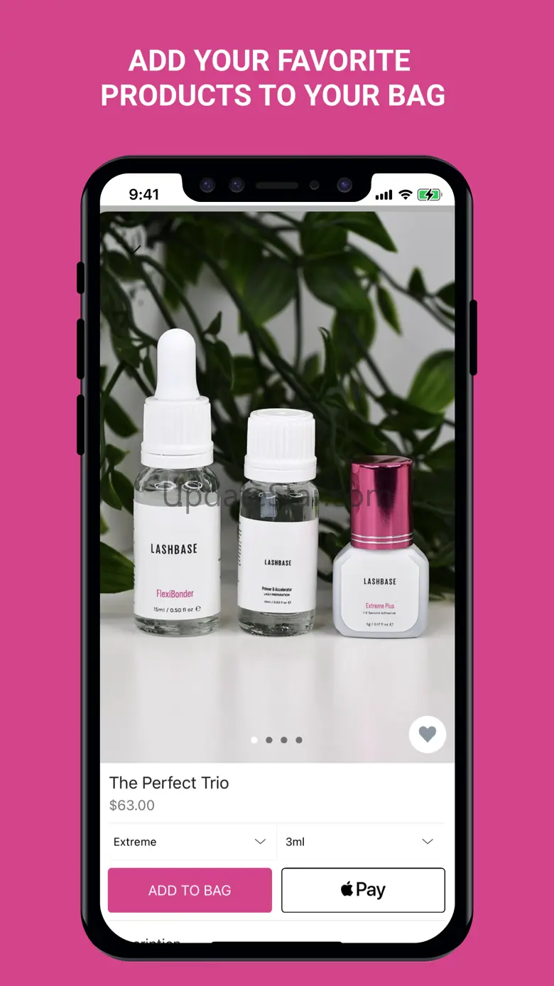 LashBase Inc 2.2