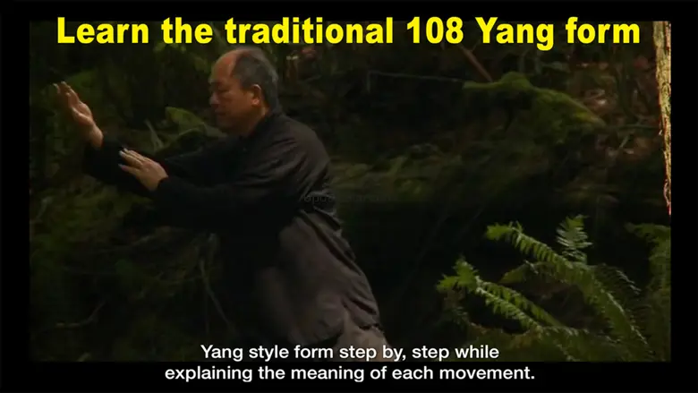 Yang Tai Chi for Beginners 1 1.0.11