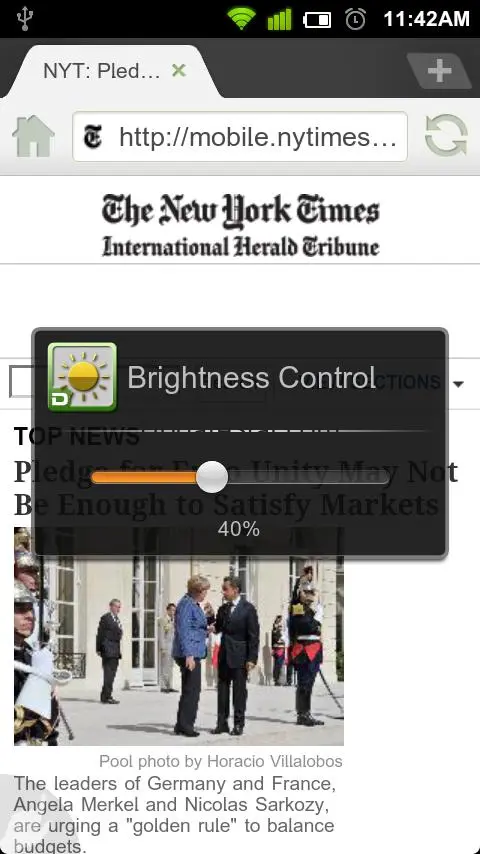 Dolphin Brightness 1.2.1