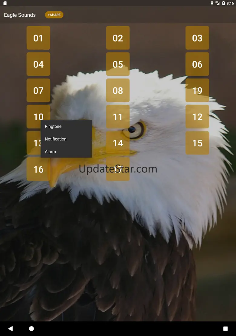 Eagle Sounds and Ringtone 2.8