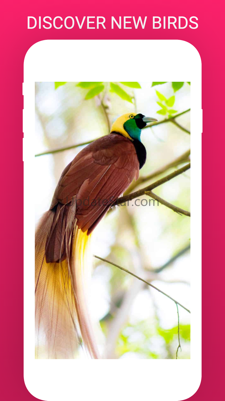 BirdLens - Identify Birds App 1.2