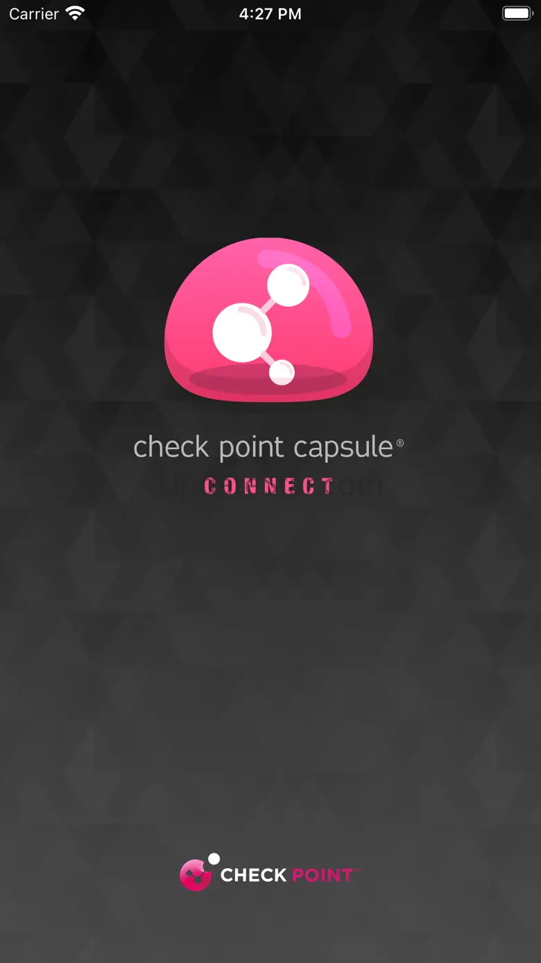 Check Point Capsule Connect