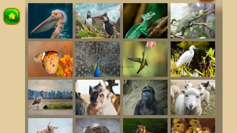 Magic Puzzle Animal 1.0