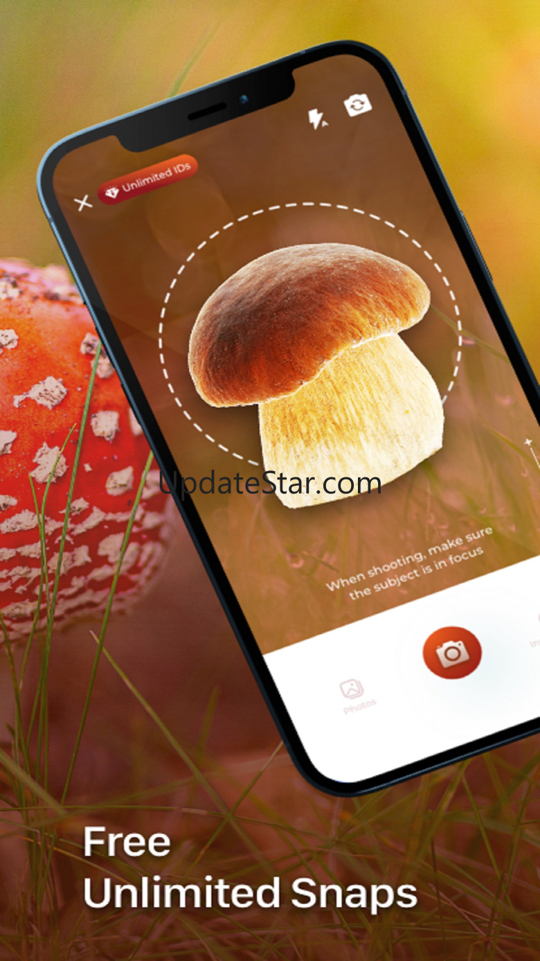 Mushroom Identification ++ 1.0