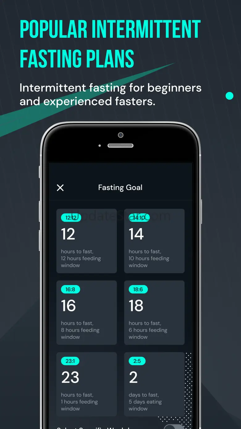 MOGULBODY - Fasting 3.0