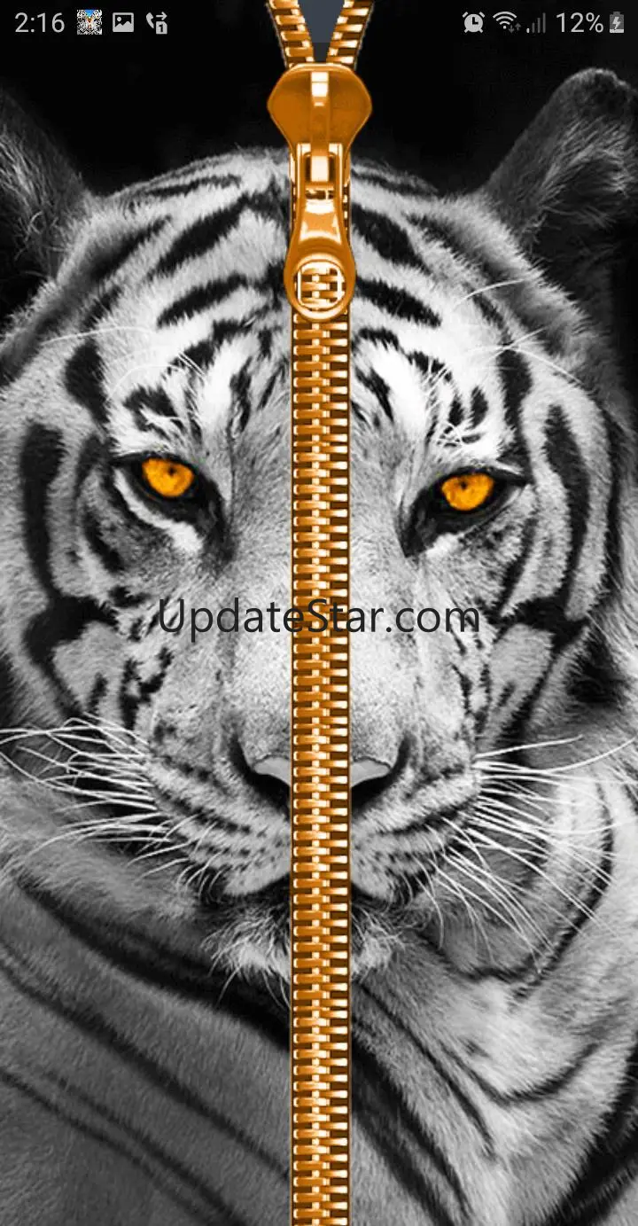 Wild Kitty Zipper Lock Screen 4.8