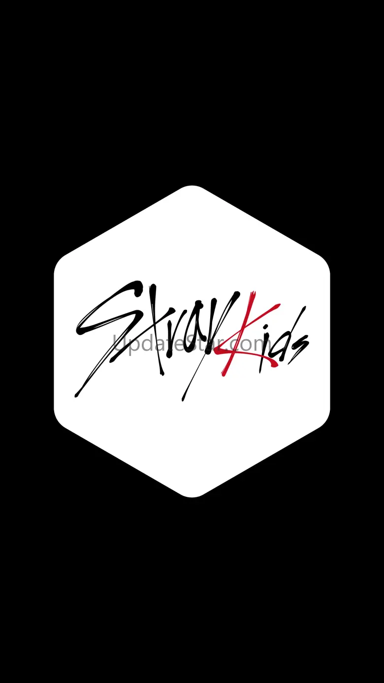 Stray Kids AR 1.1