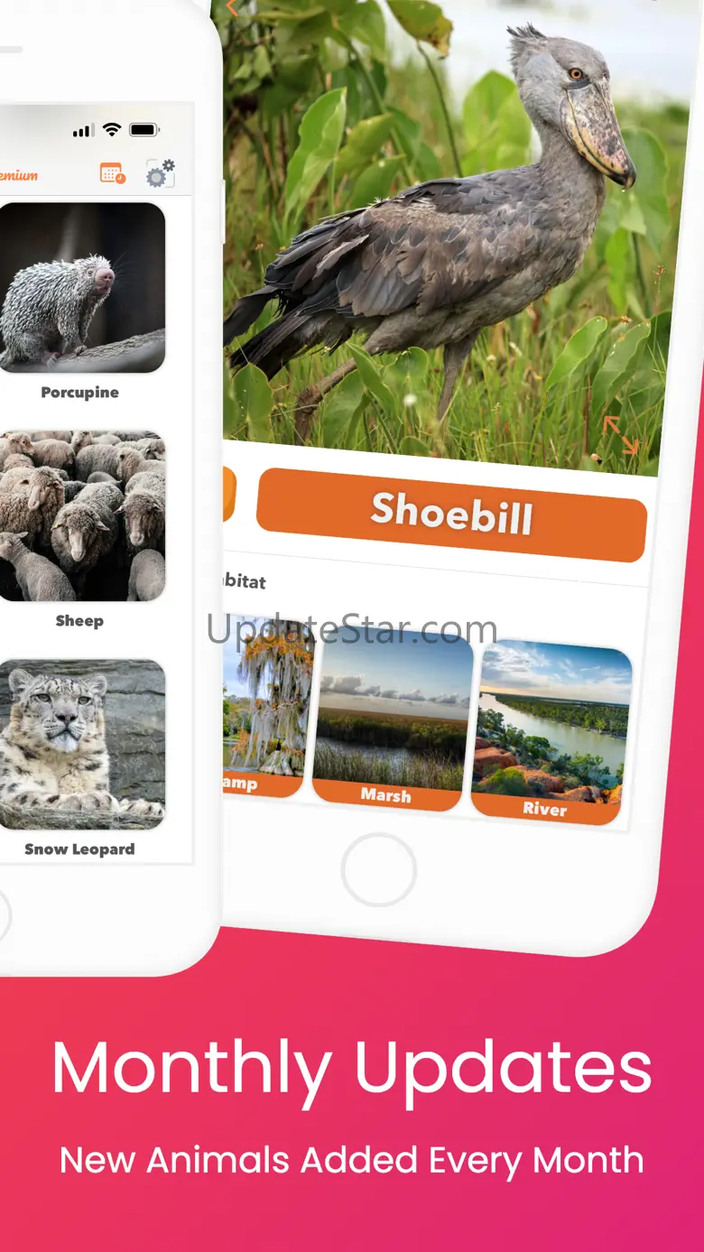 YipYap - Animal Discovery 0.0.4