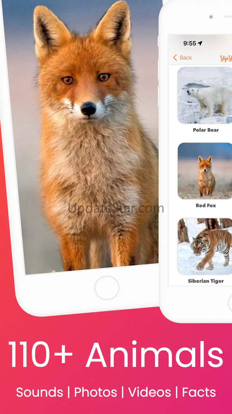 YipYap - Animal Discovery 0.0.4