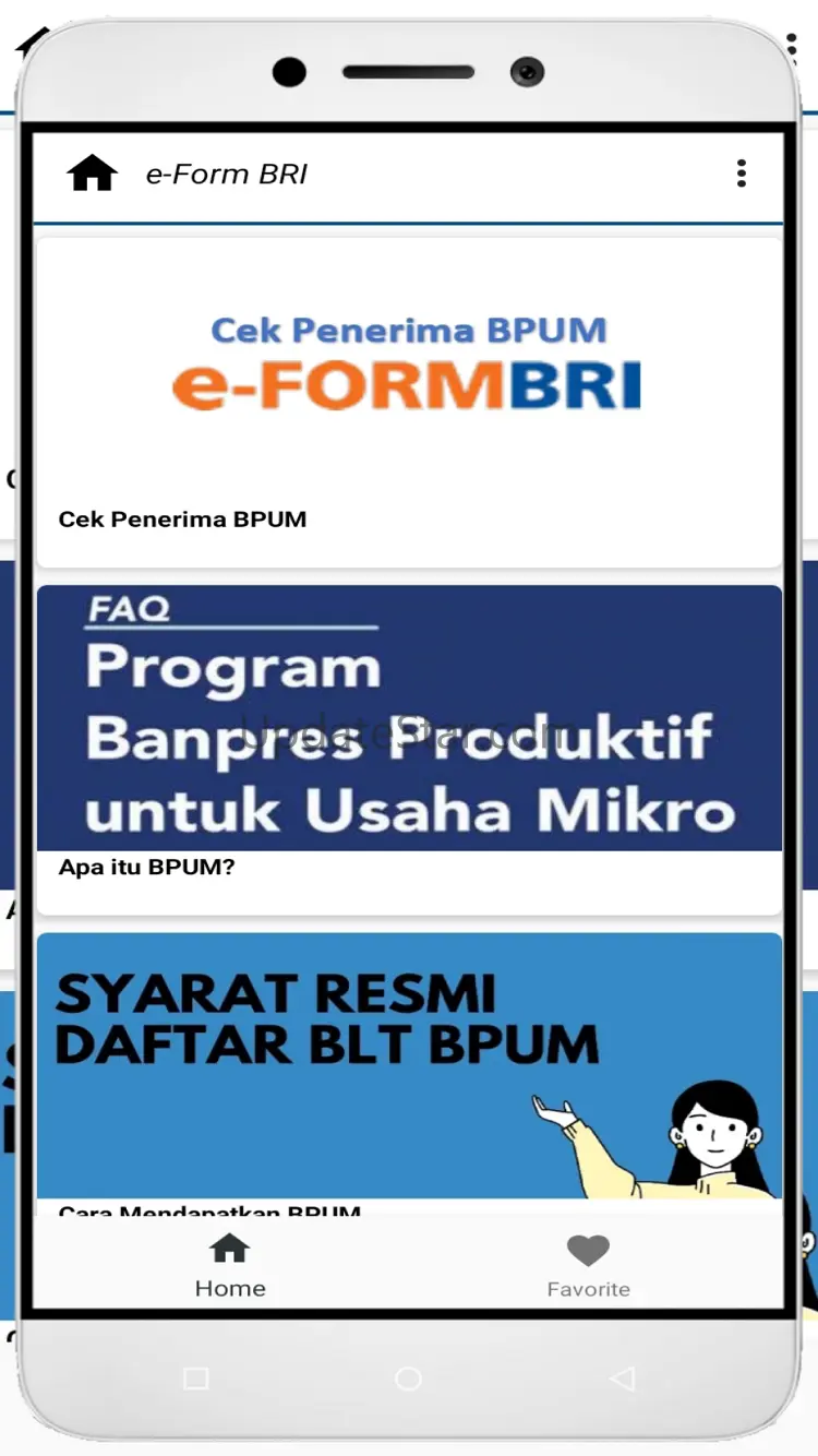 e-Form BRI - Cek Penerima BPUM 2.01.02