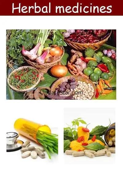 Herbal medicines plant 43.0