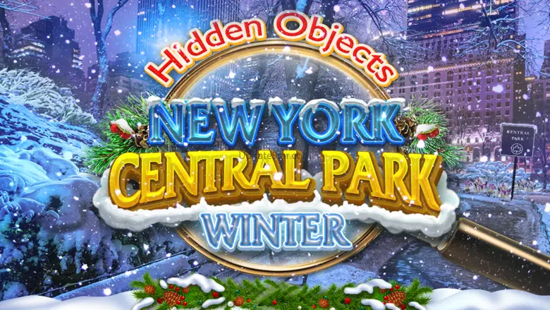 Hidden Objects New York Winter 1.7