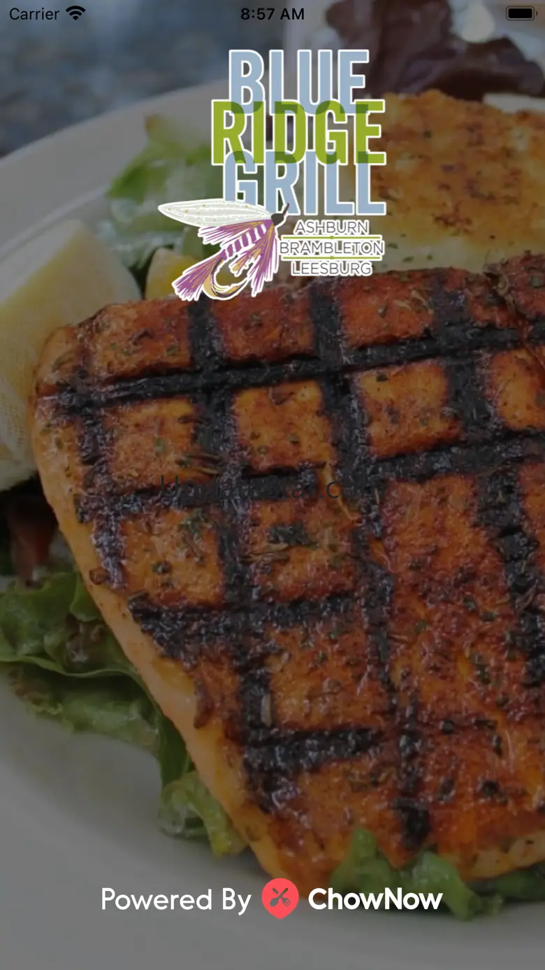 Blue Ridge Grill 3.23.0