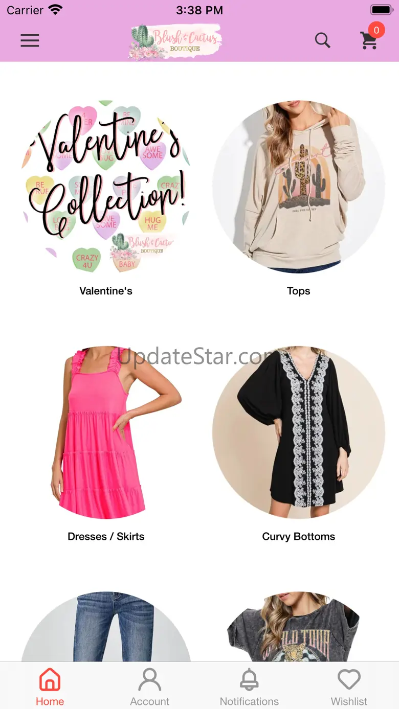 Blush & Cactus 1.3