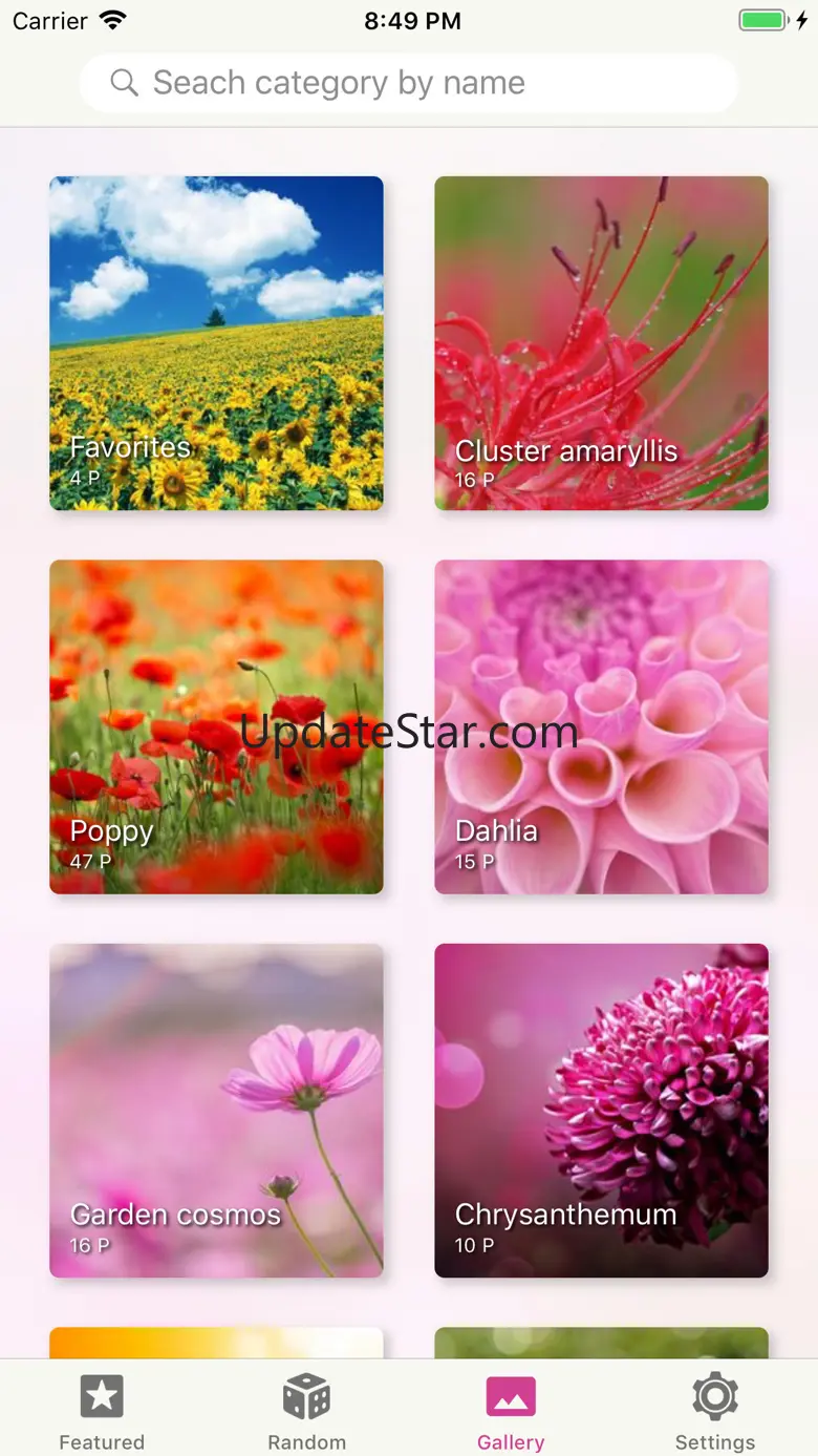 Flower Gallery