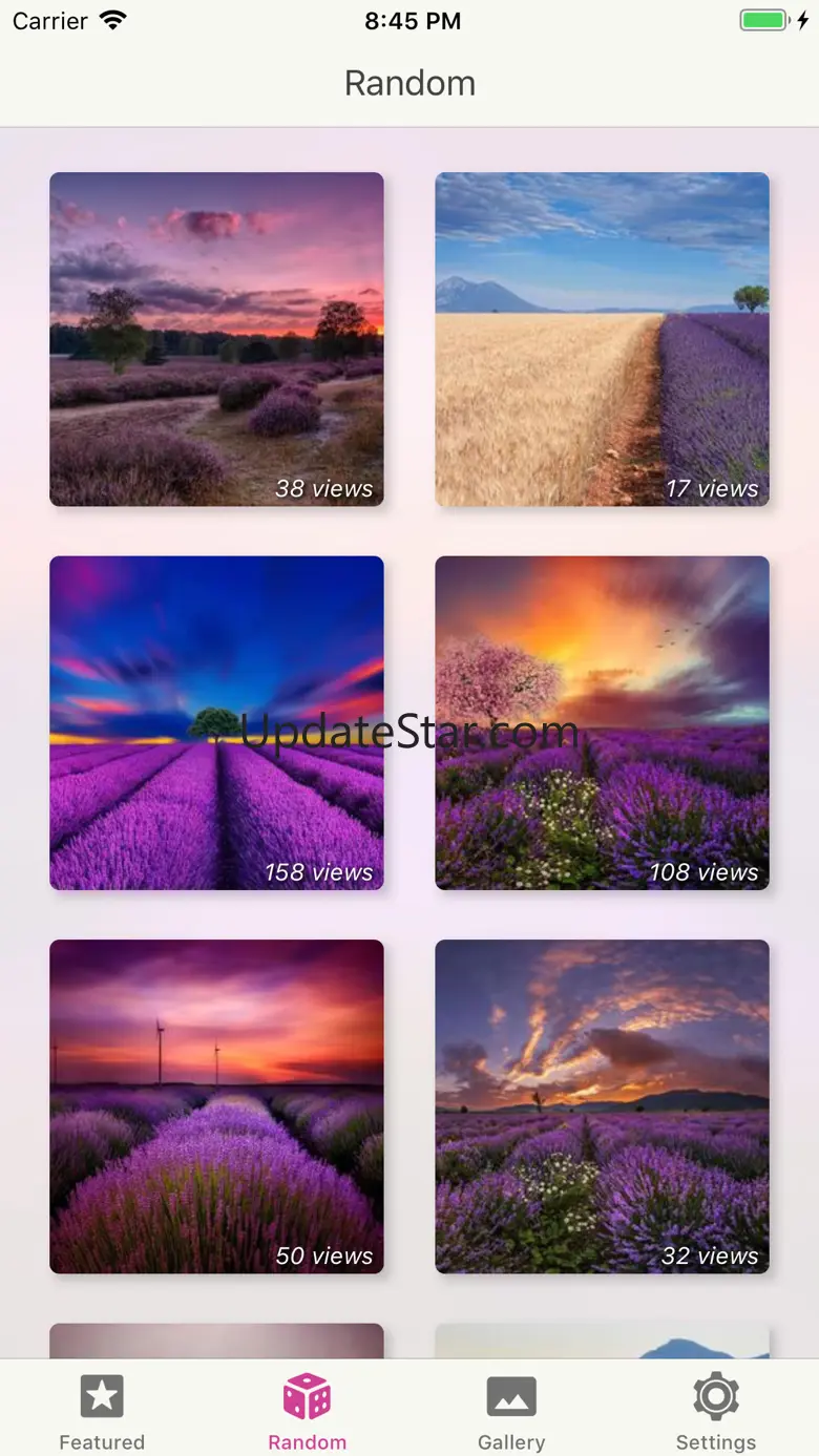 Flower Gallery