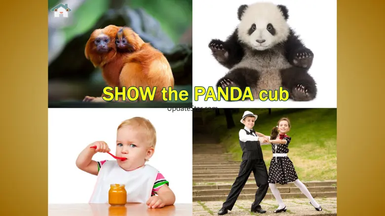 Point the picture! For babies 3.0