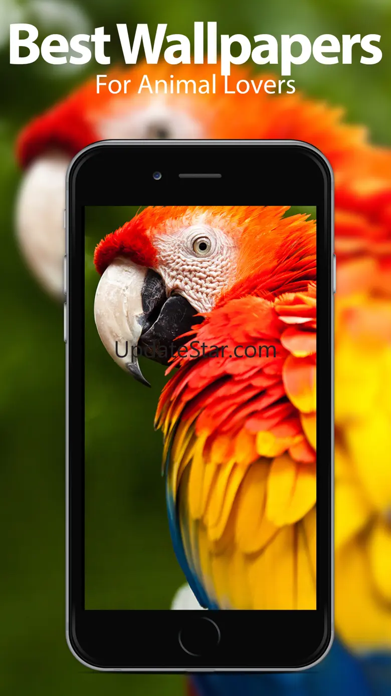 Animal Wallpapers & Themes 1.3