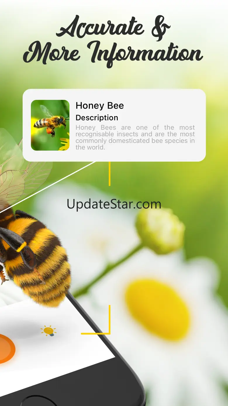 Insect ID Bug Identifier 1.0.6