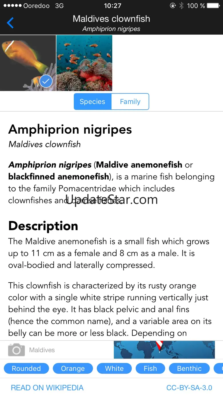 WhatFish, Identification Guide 1.91