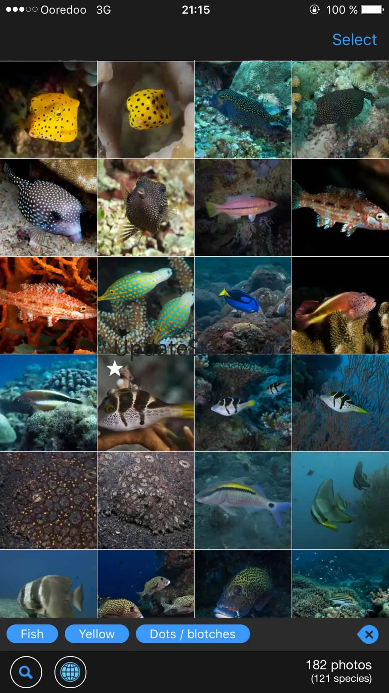 WhatFish, Identification Guide 1.91