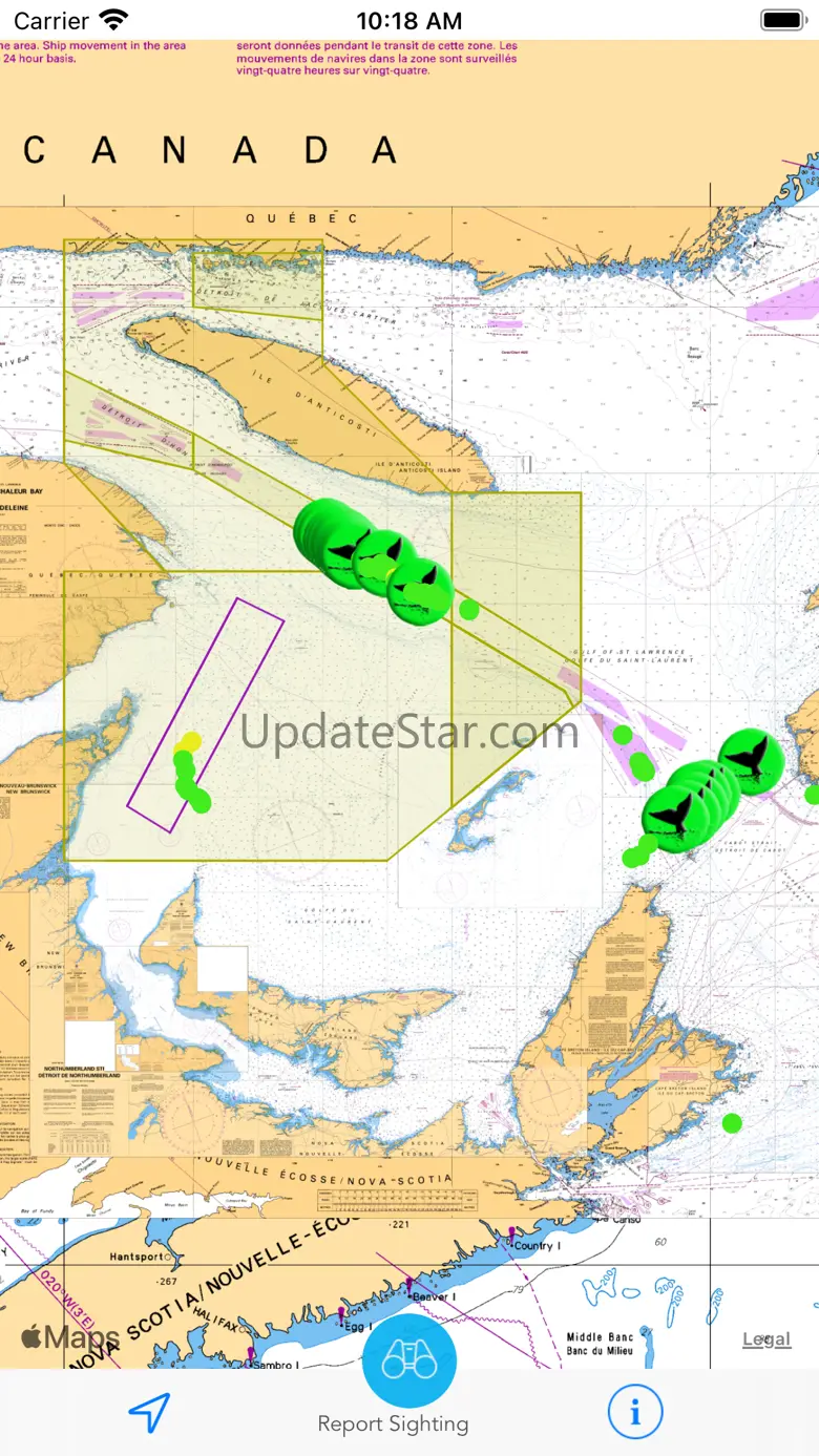 Whale Alert 4.0
