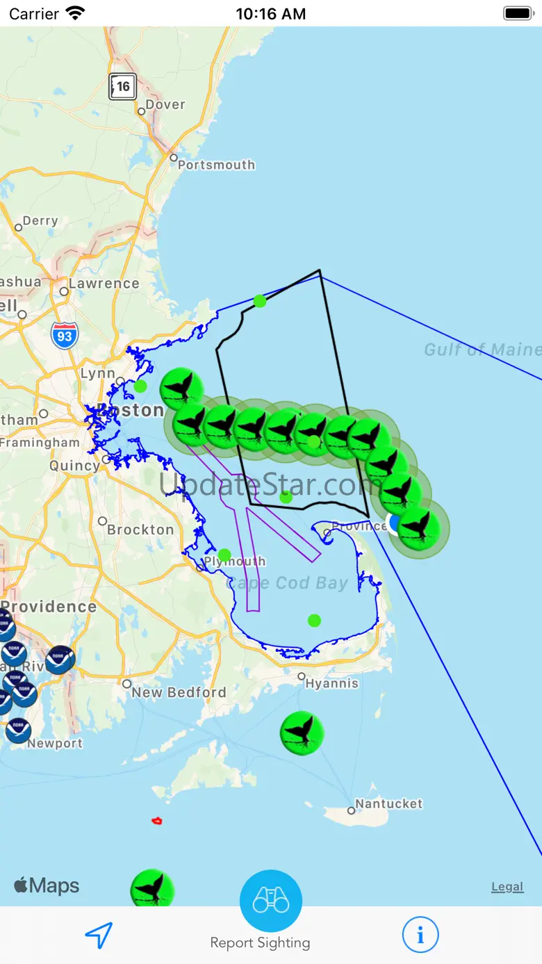 Whale Alert 4.0