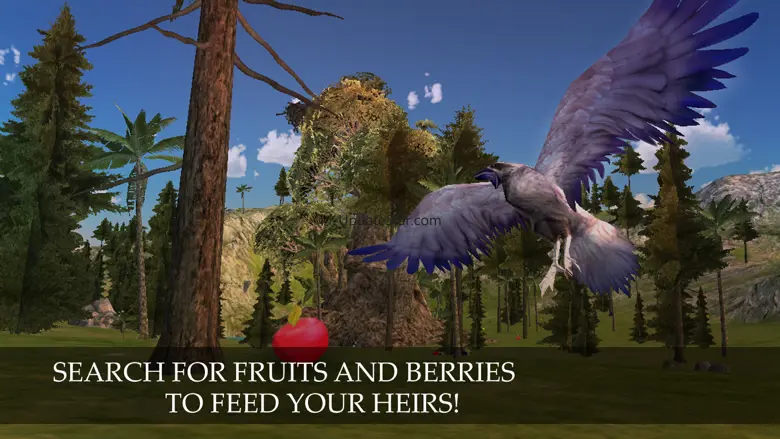 Wild Life: Flying Crow Bird Simulator 1.0