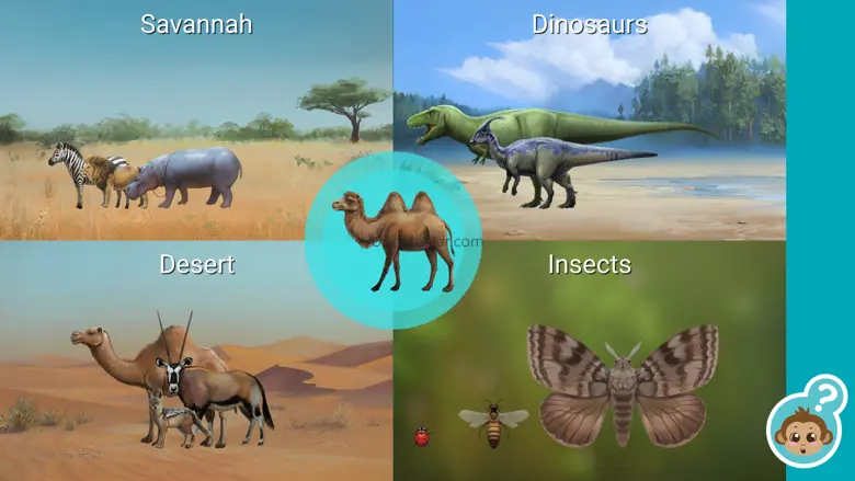 Learn the Animals in Family 2.8