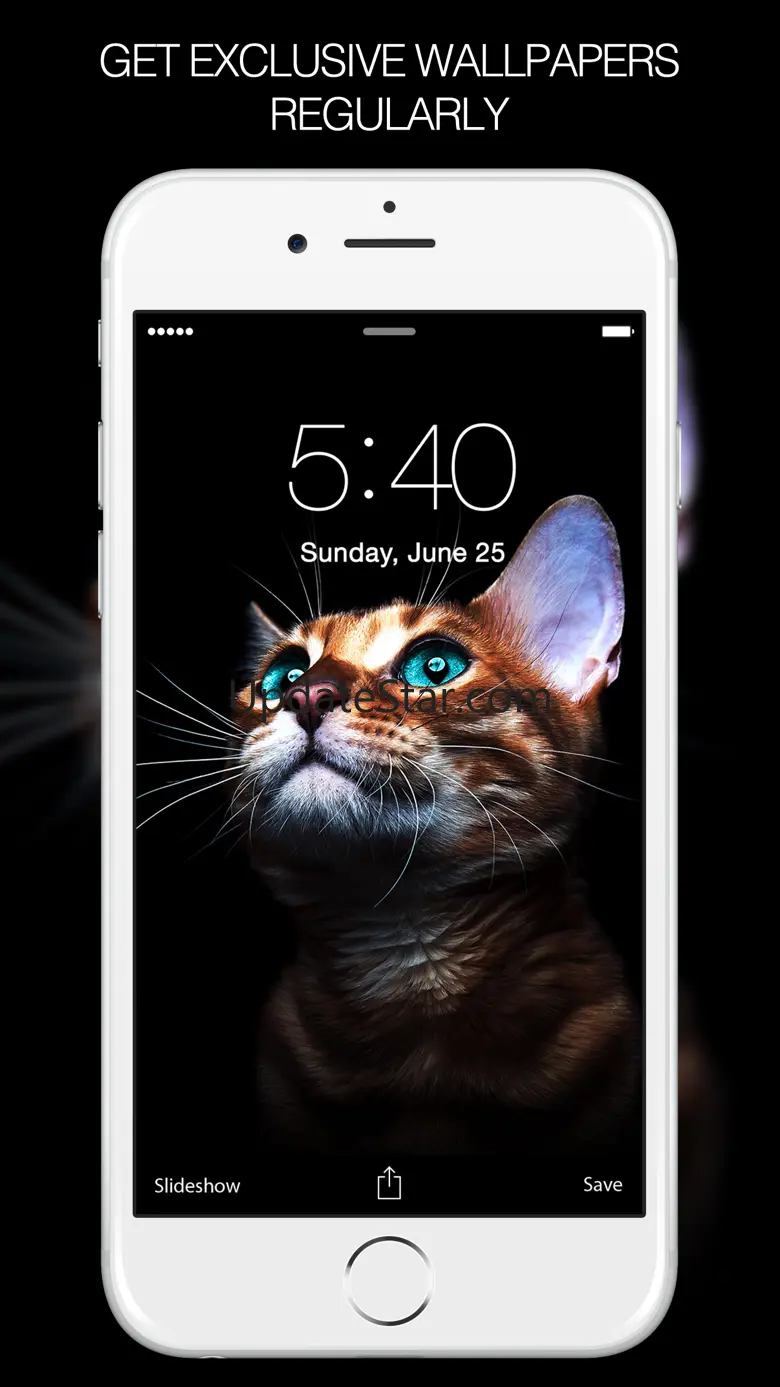 Pet Photography – Pet Pictures & Pet Backgrounds 9.5