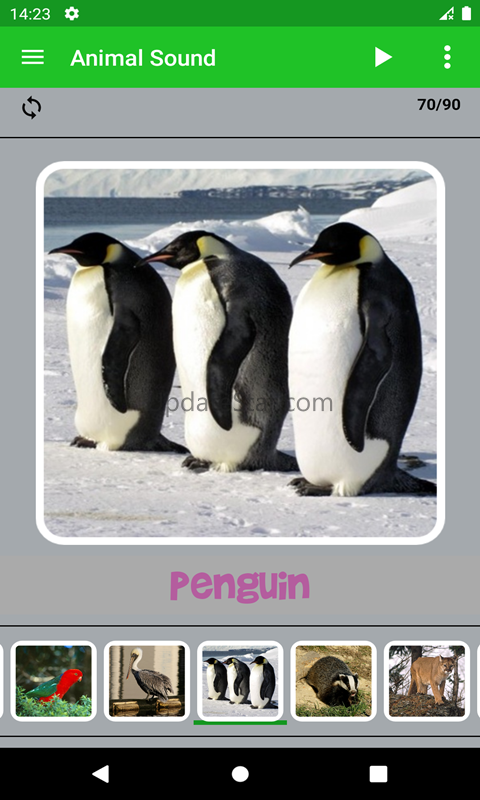 Animal Sound 5.0.2