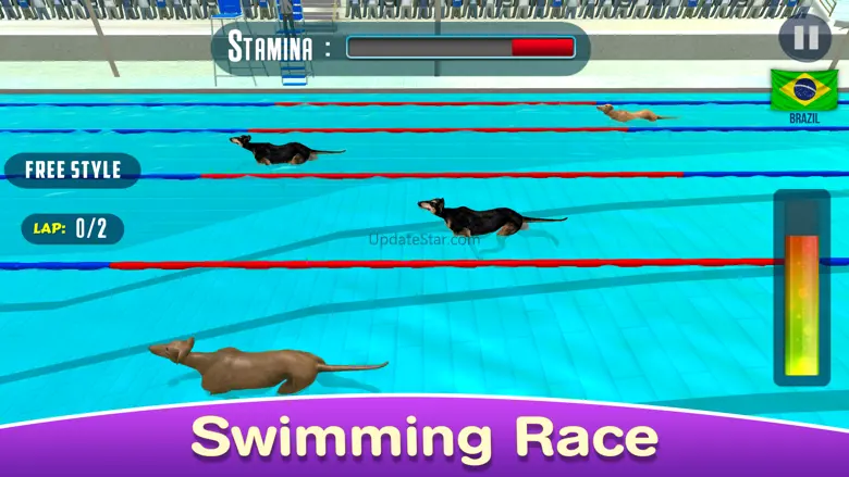 Dog Swimming Race 1.1