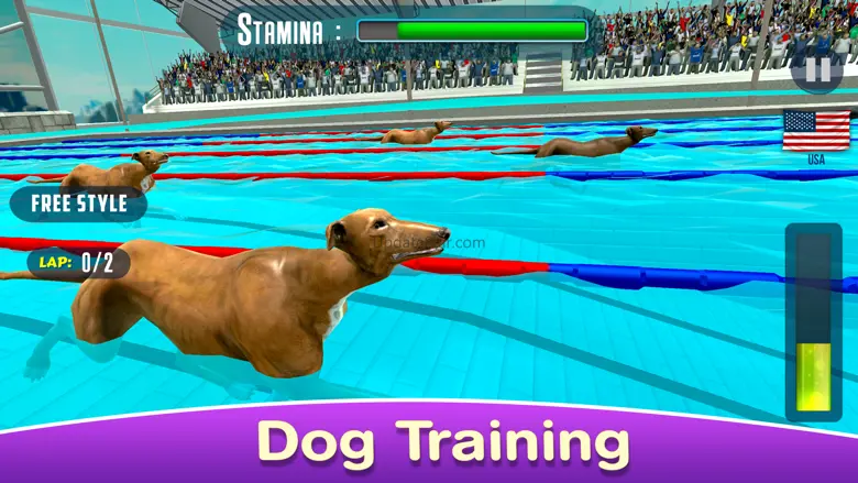 Dog Swimming Race 1.1