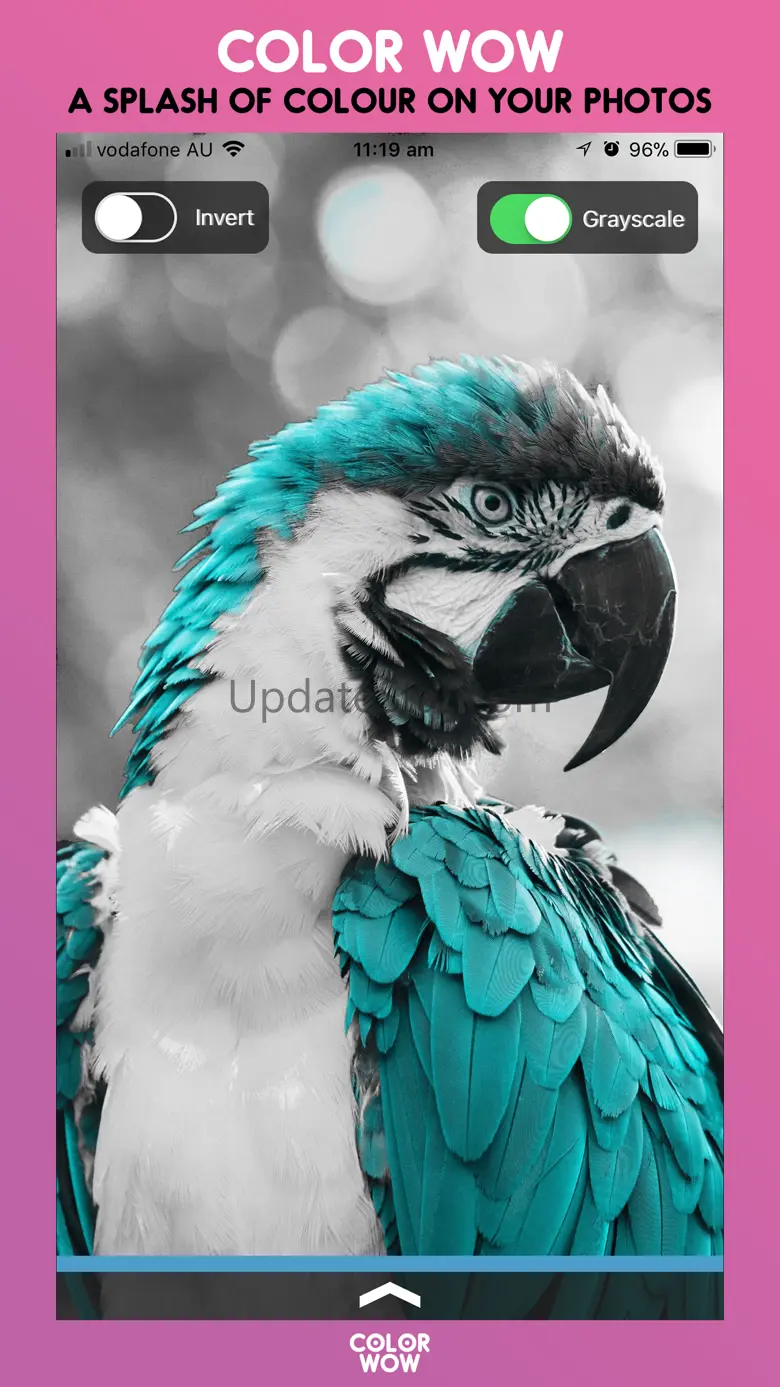 Color Wow 1.1