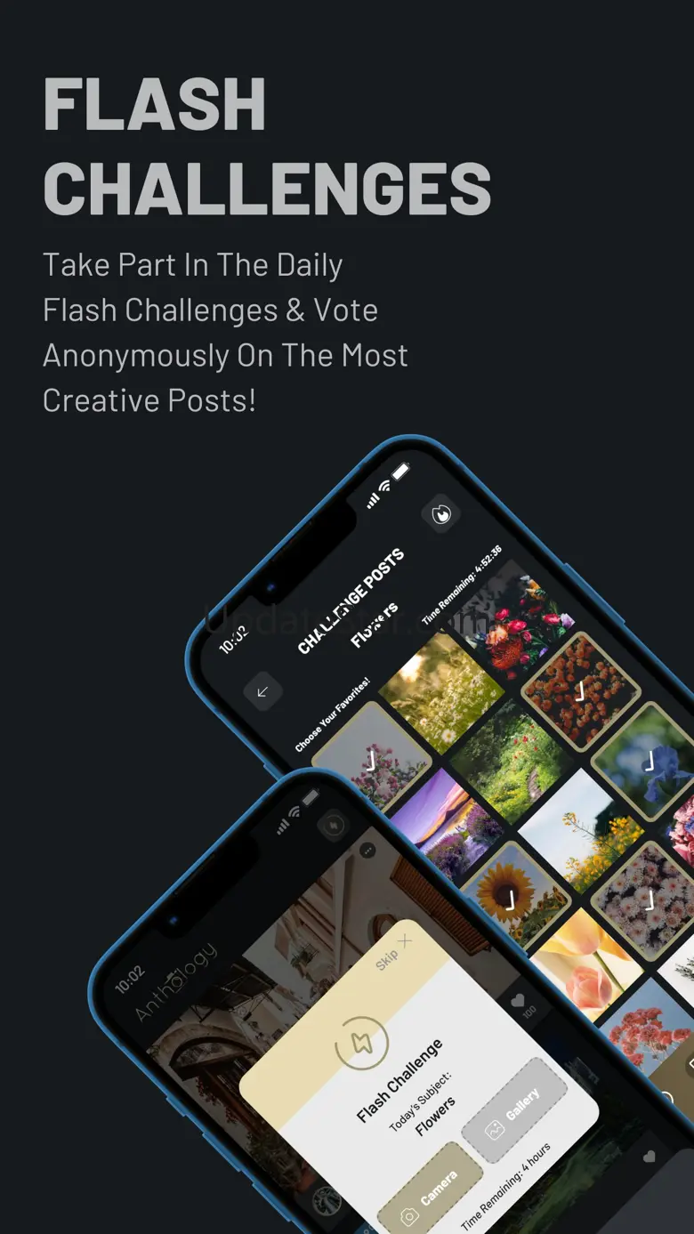 Anthology 4.1.0