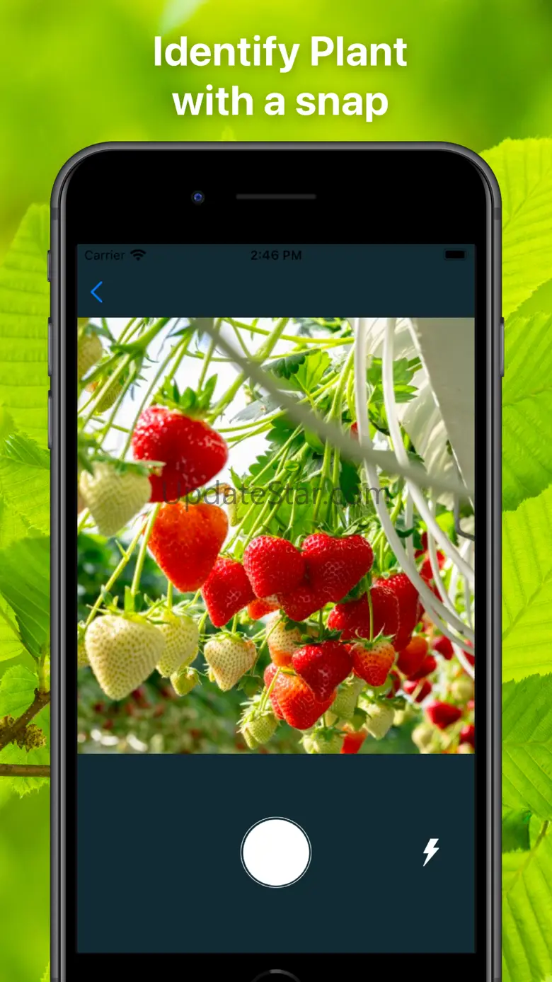 Plant Finder Tree identifer 1.0.1