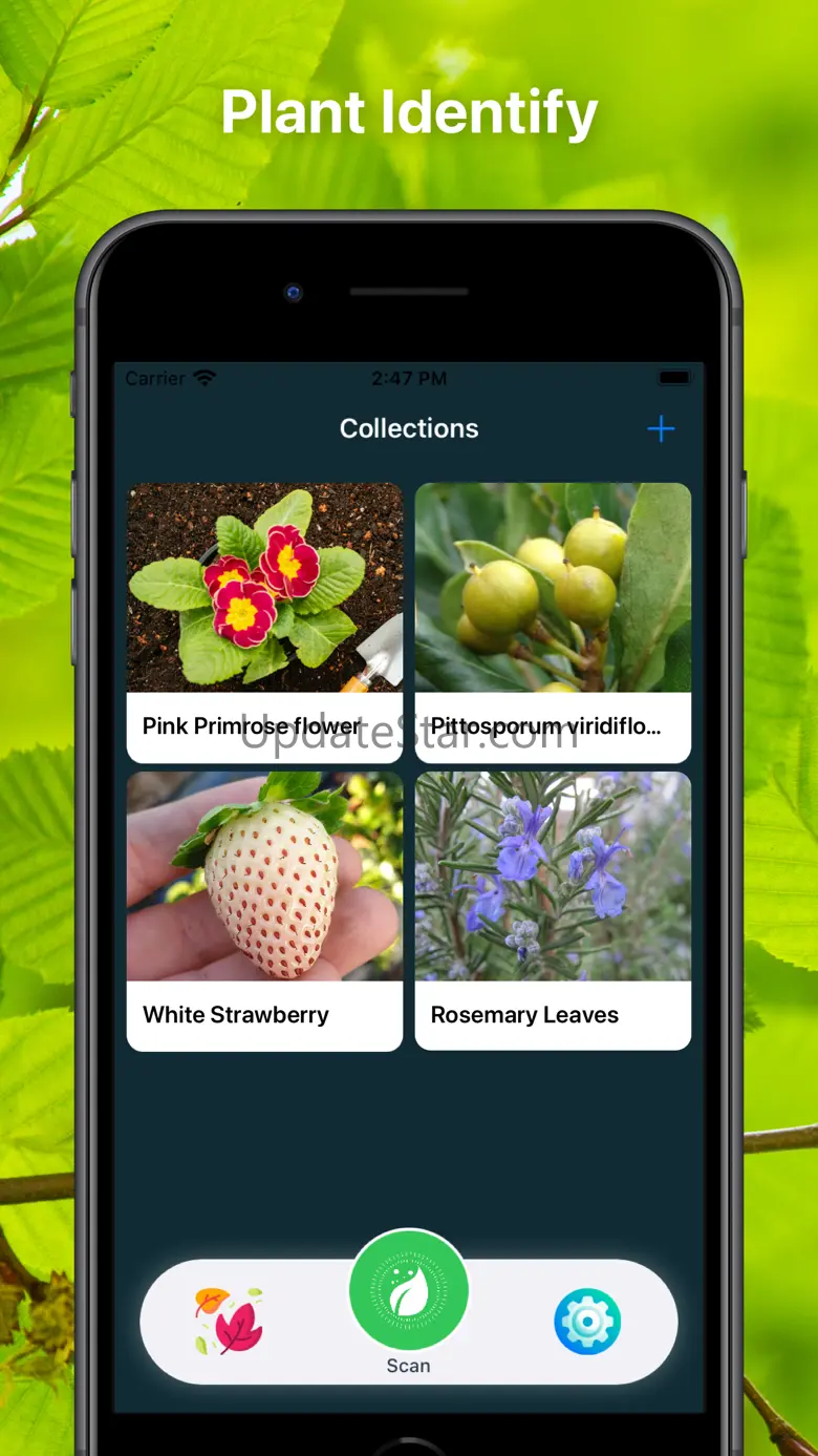 Plant Finder Tree identifer 1.0.1
