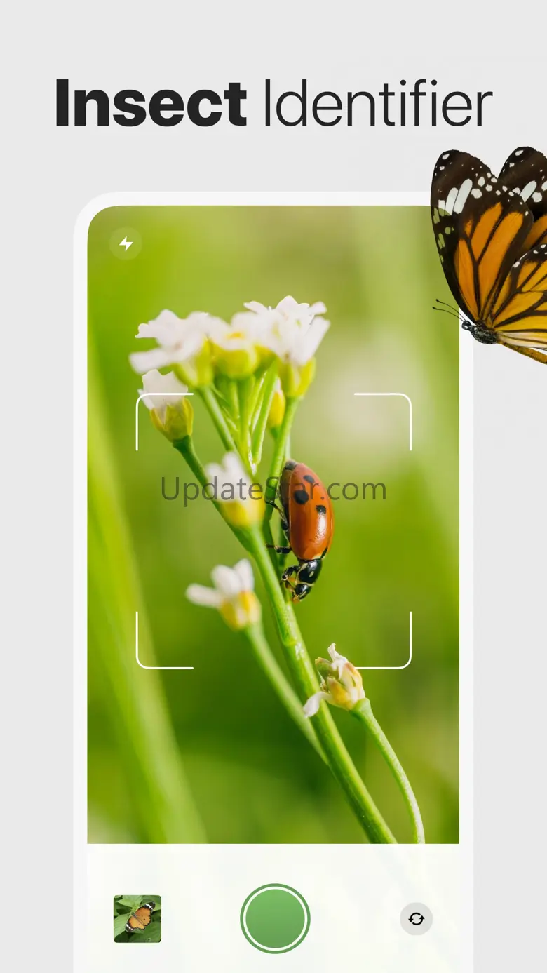 Bug Identifier: Insect ID 1.5