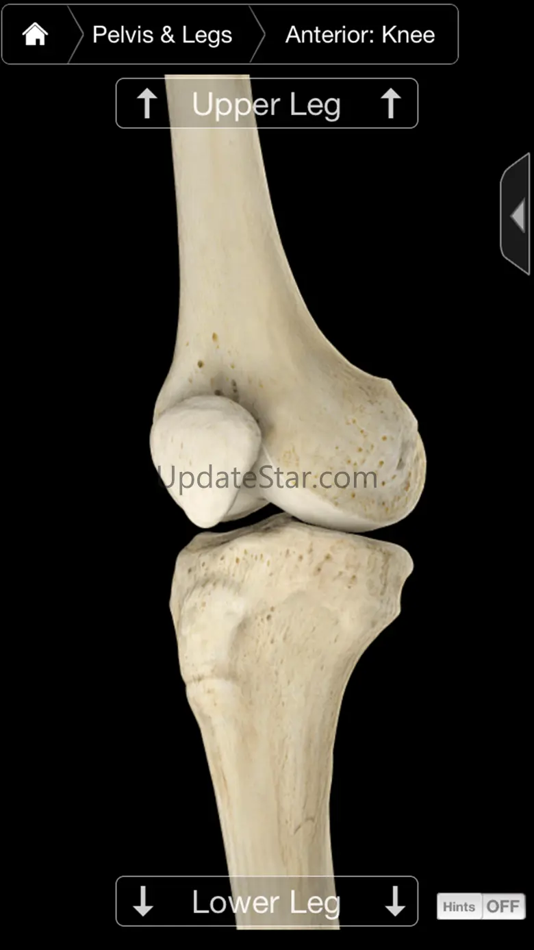 Skeleton System Pro III-iPhone 3.8.2