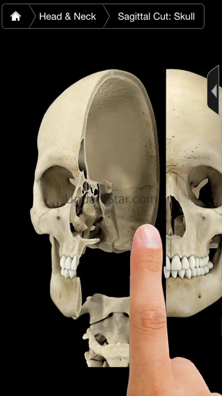 Skeleton System Pro III-iPhone 3.8.2