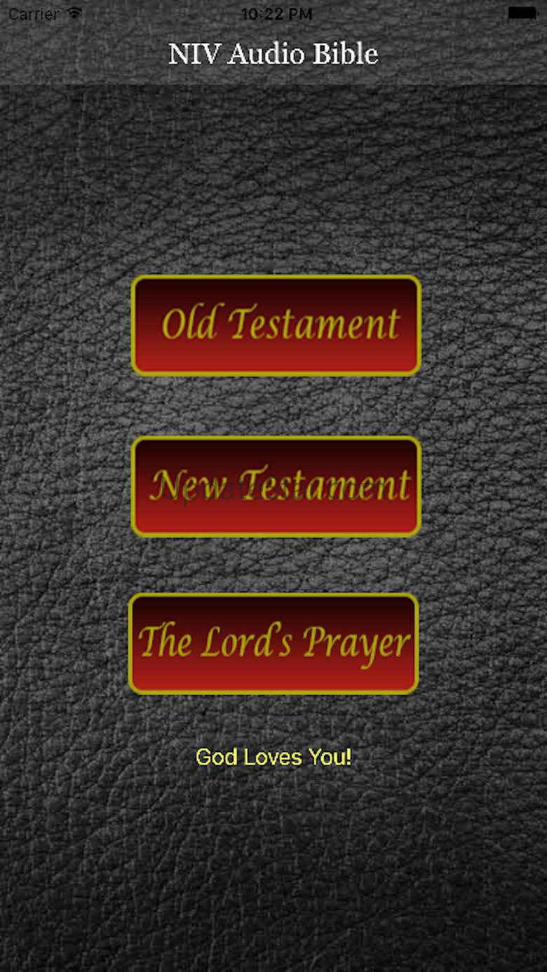 NIV Audio Bible 1.5