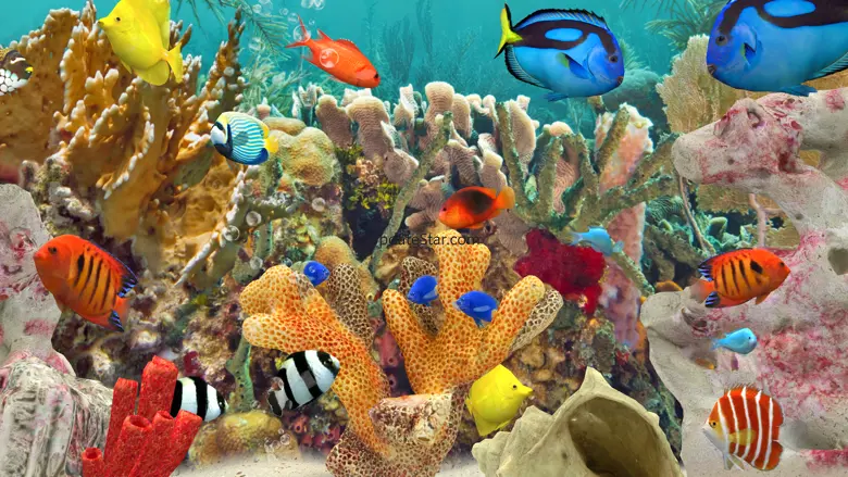 MyReef 3D Aquarium 3 1.1