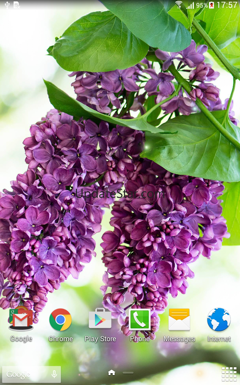 Lilac live wallpaper 1.0.7