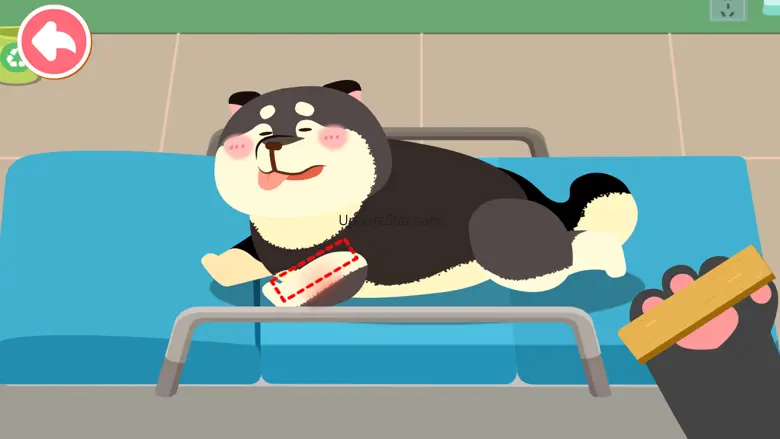 Baby Panda's Pet Care Center 8.71.00.00