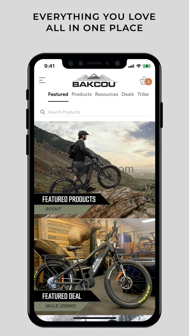 Bakcou 3
