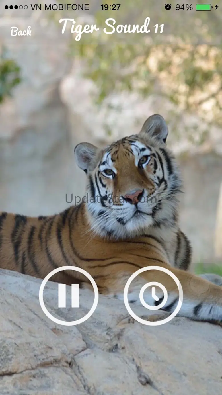 Tiger Sounds - Tiger Sounds for Kids 3.0