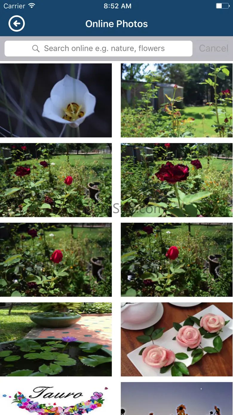Urdu Poetry and Text on Photos 1.1
