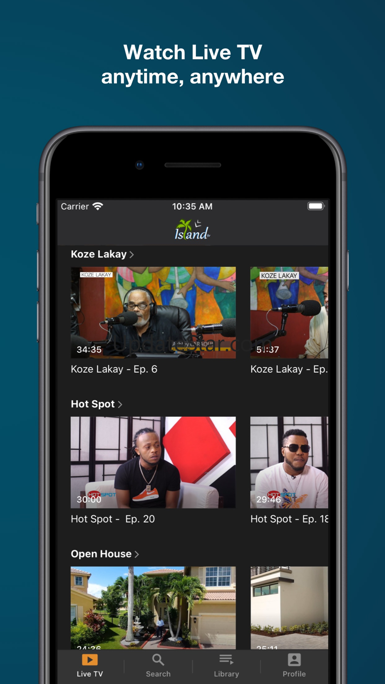 Island TV 229