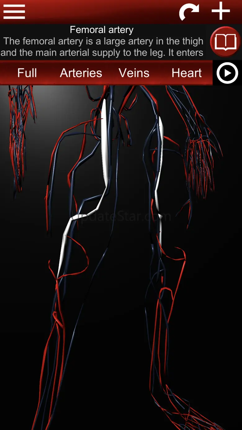 Circulatory System 3D Anatomy 1.58